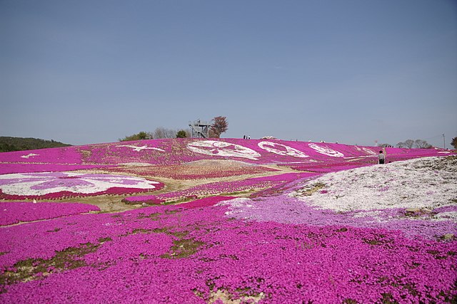 花夢の里ロクタン (Le Village des Rêves Floraux) : "Échos de Pétales et de Rêves"