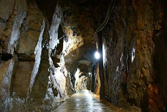 笹畝坑道(Le Sentier des Bambous): "Échos des Ombres Végétales"