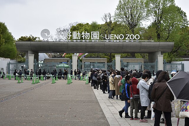 恩賜上野動物園(Jardin des merveilles animalières) : Échos de la nature enchantée