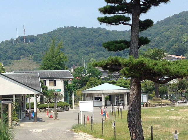 梅津寺公園(Parc du Temple Umezu) : "Harmonie des Cerisiers en Fleurs"