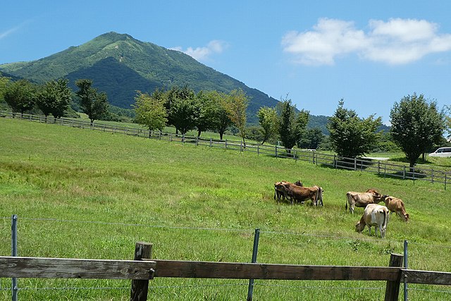 ひるぜんジャージーランド (Terre des Rêves Jersey) : Évasion au Pays des Douces Vaches