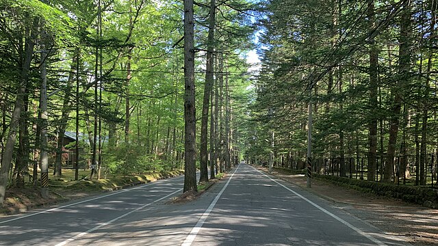軽井沢 (Karuisawa): "Échos de Sérénité dans les Montagnes"