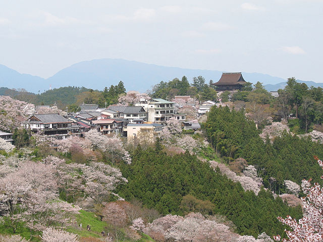 吉野山(Mont Yoshino): "Les Cimes Enchantées des Cerisiers"
