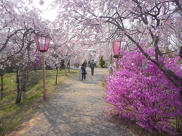 たけべの森公園(Parc de la forêt de Takebe): "Échos de la Nature Enchantée"
