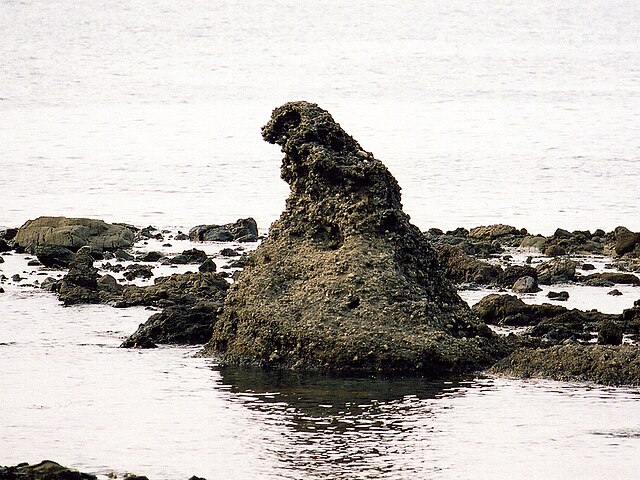 ゴジラ岩 (石川県)(Rocher de Godzilla) : L'Étreinte des Titans Marins