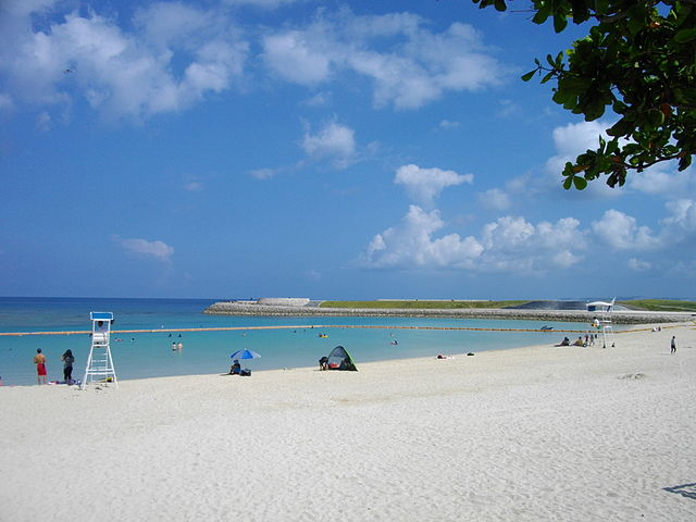 トロピカルビーチ (Plage Tropicale): "Évasion au Cœur des Vagues Émeraude"