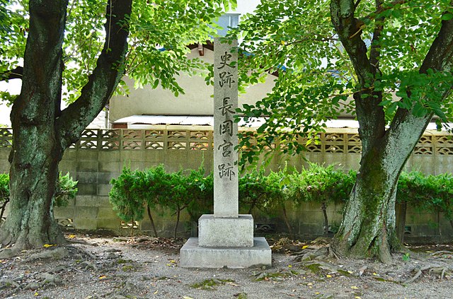 長岡京 (Nara de l'Orient): "Échos de l'Harmonie Éternelle"