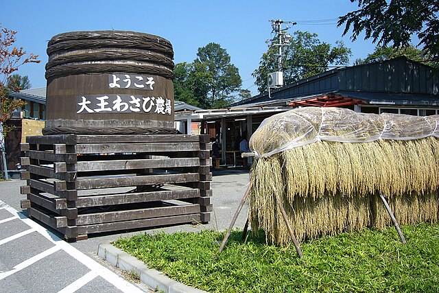 大王わさび農場(Ferme de Wasabi du Grand Roi): "Les Rivières Émeraude du Wasabi"
