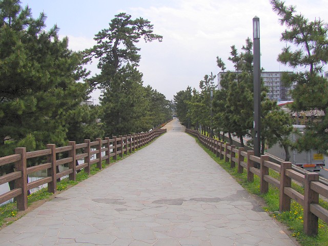 草加松原 (Matsubara de Sōka) : "Les Murmures des Pins Éternels"