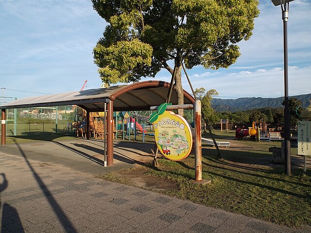 かりんの丘公園(Parc de la colline de Karine): "Éveil des Cerisiers au Crépuscule"