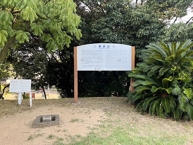 蘇鉄山(Mont des Cycas): "Échos de la Verdure Ancienne"