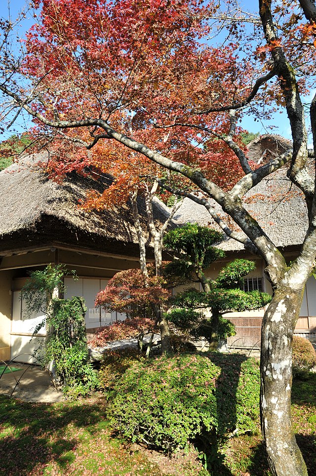 九年庵(Le Refuge des Neuf Années): "Harmonie des Saisons Éternelles"